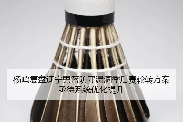 杨鸣复盘辽宁男篮防守漏洞季后赛轮转方案亟待系统优化提升